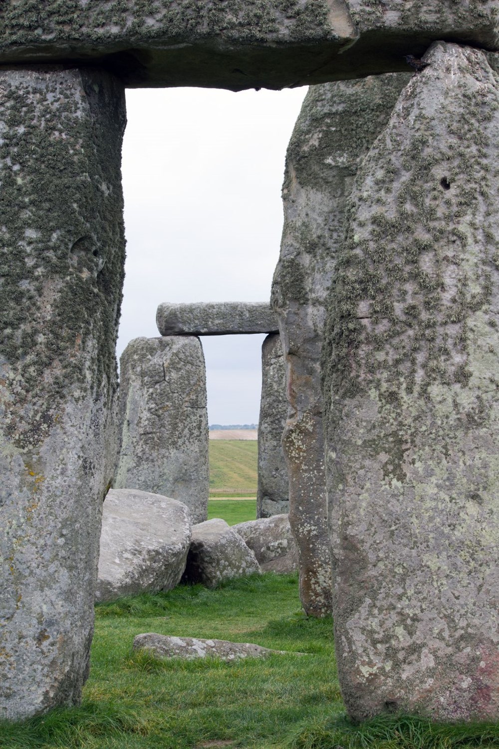 Yeni araştırma: Stonehenge İngiltere’de inşa edilmedi - 4