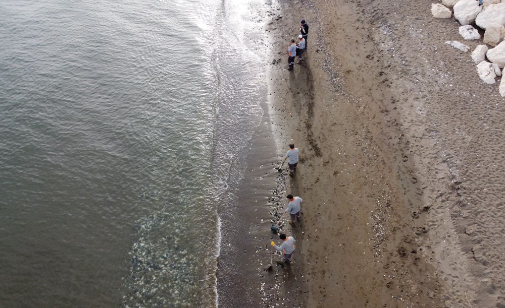 Akdeniz’de kıyılar ölü zehirli denizanalarından temizleniyor - 9
