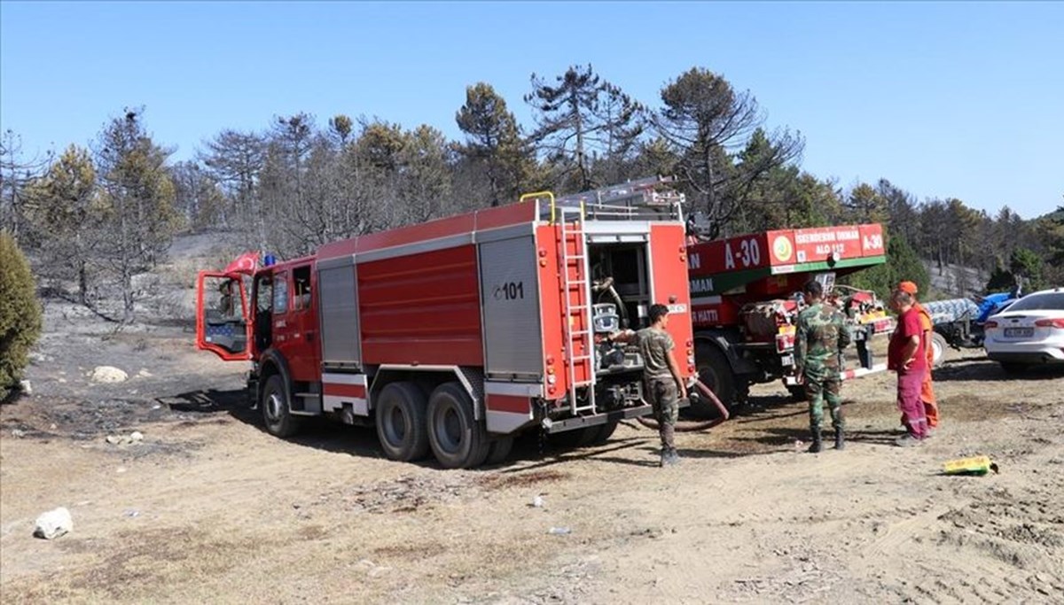 Antalya Manavgat'ta orman yangını: Kontrol altına alınmaya çalışılıyor