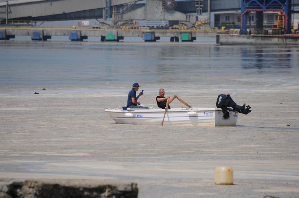 Müsilaj balıklarda zehir etkisi yaratır mı? Uzmanı yanıtladı - 9