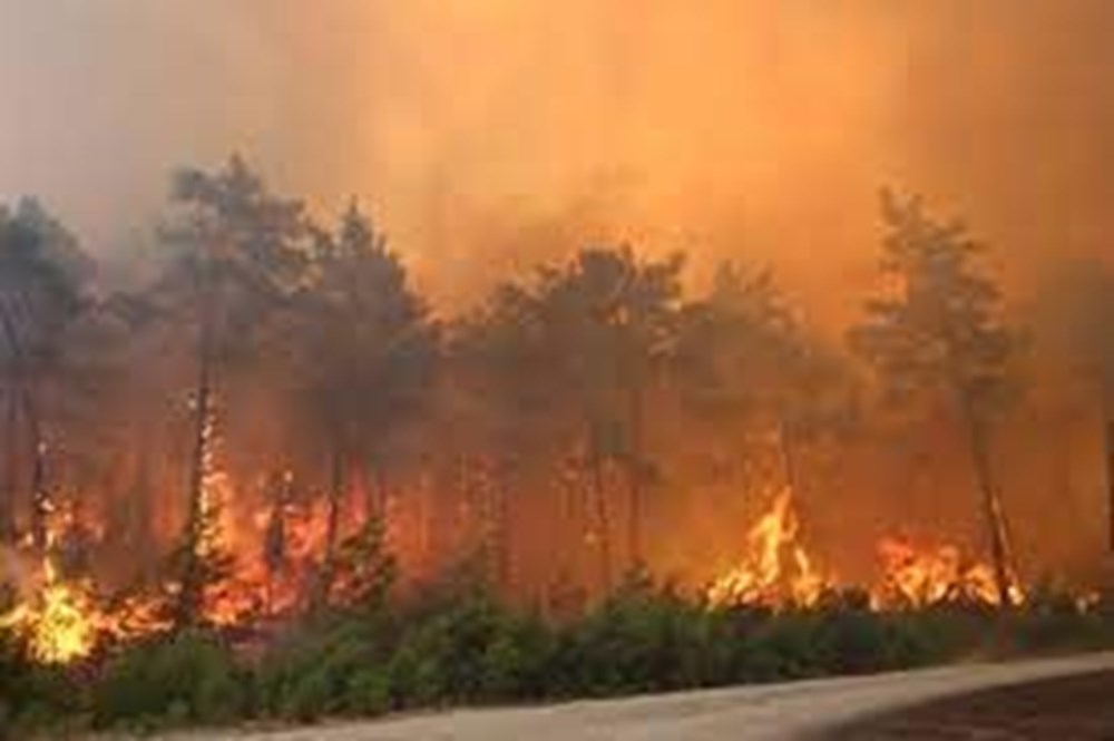 Türkiye'deki orman yangınlarının tahrip ettiği alanların uydu görüntüleri yayımlandı - 9