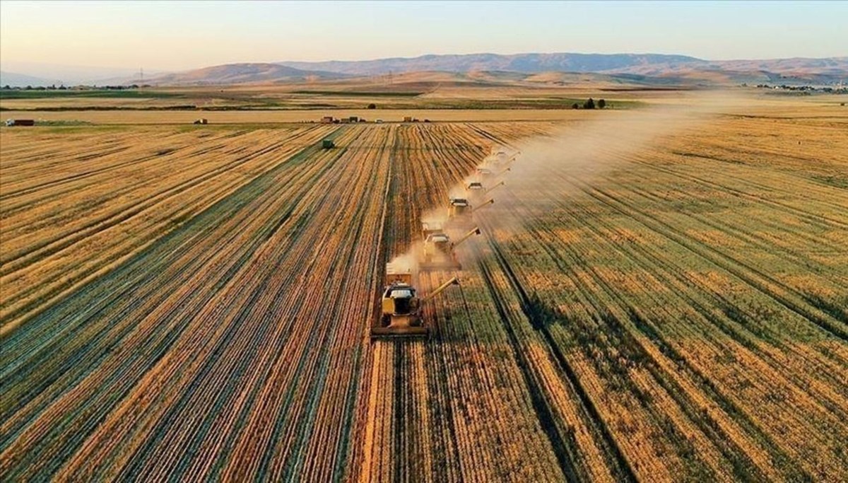Tarımsal destekleme ödemeleri sorgulama ekranı 2025: Temmuz ayı çiftçi destek ödemeleri yattı mı, ne zaman yatacak?