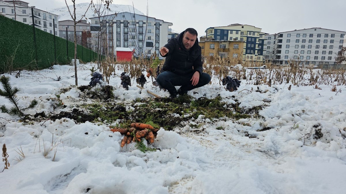 9TTXlOFl20mkiPrLRNUdpw.jpg