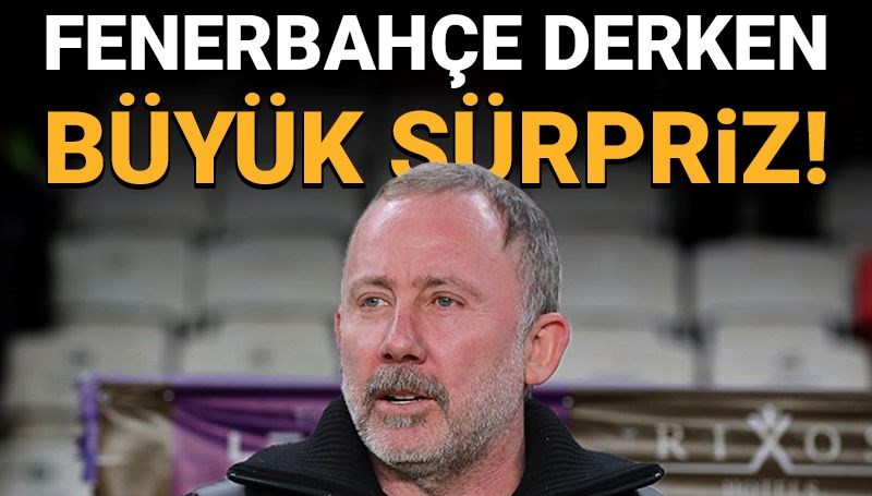 Sergen Yalçın'a sürpriz teklif