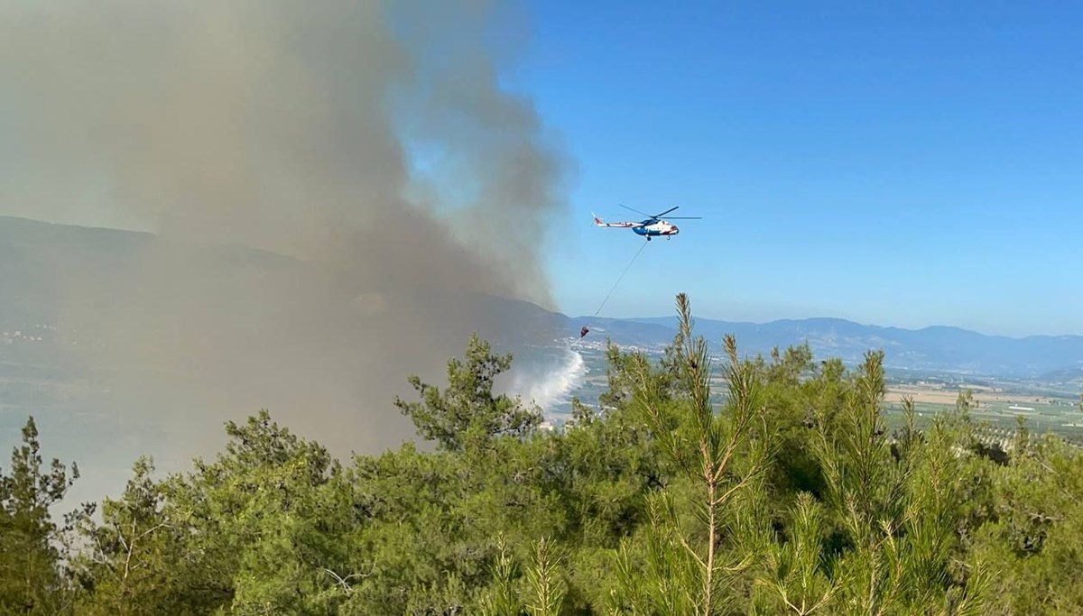 Sakarya'da orman yangını