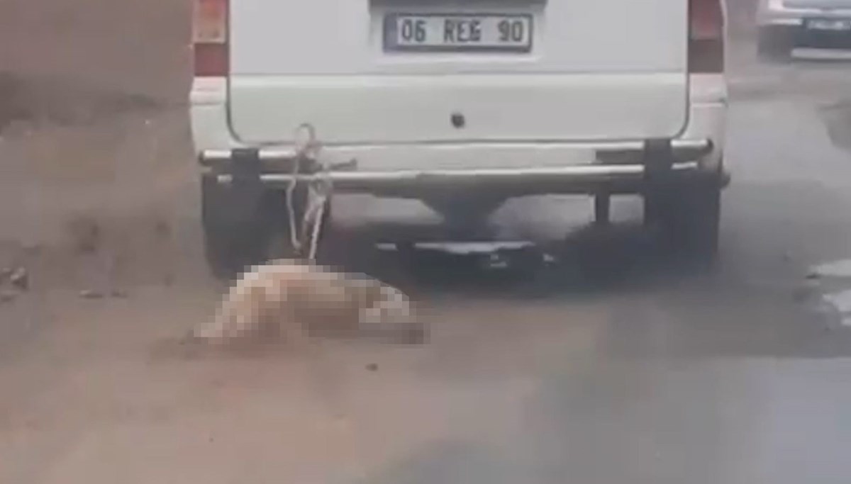 Aracına bağladığı köpeği metrelerce sürükledi Aracına bağladığı köpeği metrelerce sürükledi