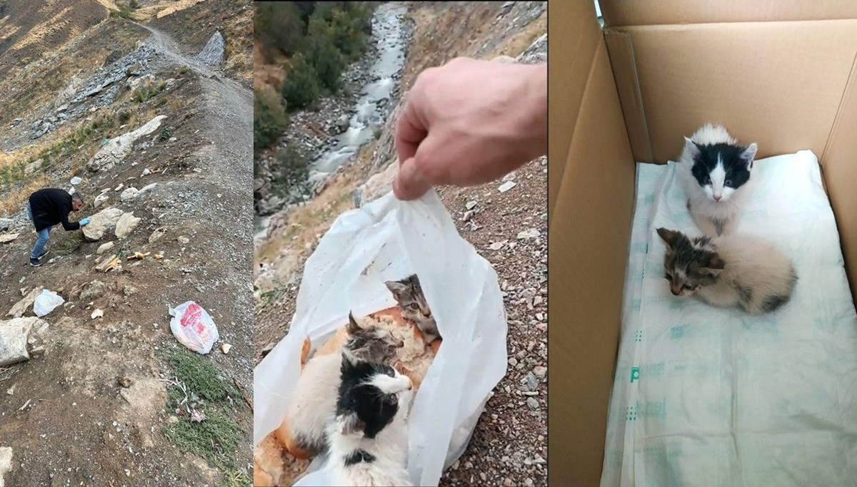 Poşet içerisinde konulup ölüme terk edildiler Poşet içerisinde konulup ölüme terk edildiler