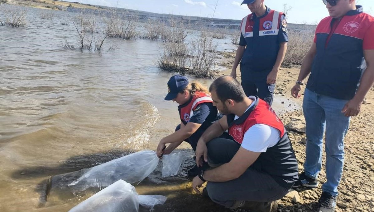 Pınarhisar'da barajlara balık bırakıldı