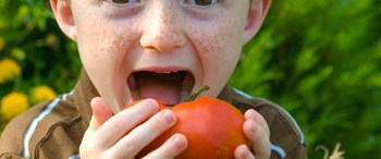 Грязный помидор. Режем помидоры. Витамины в помидорах. Томаты при камнях. Как кушать помидоры.