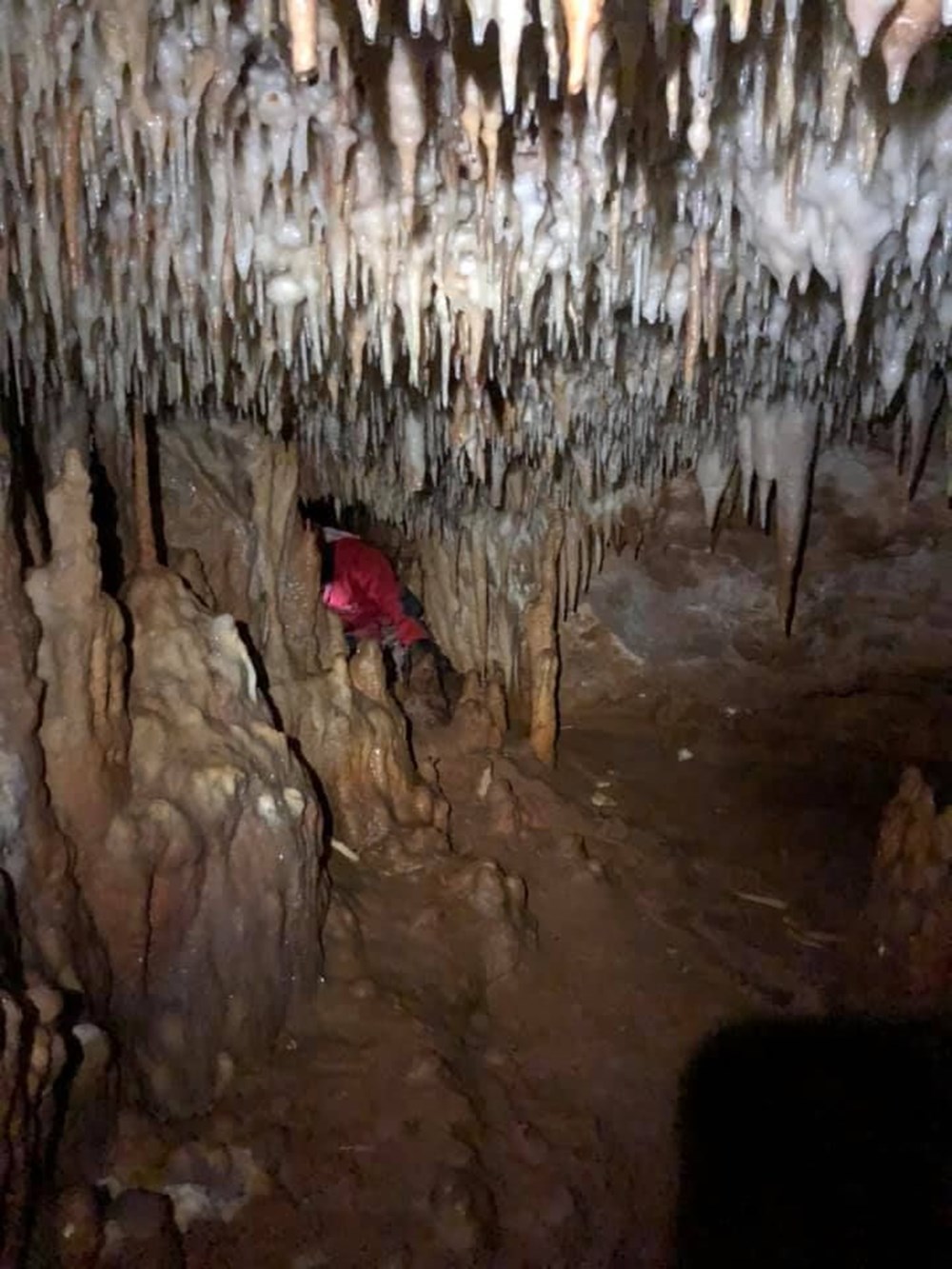 Küre Dağları Milli Parkı'nda 5 mağara keşfedildi - 8
