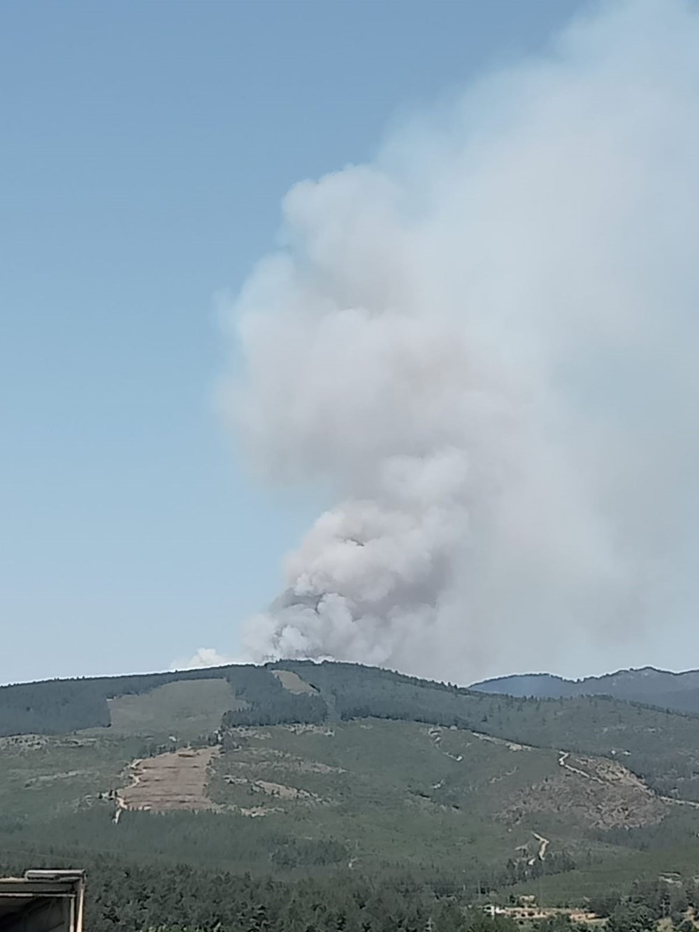 Bursa'da orman yangını: Müdahale sürüyor - 4