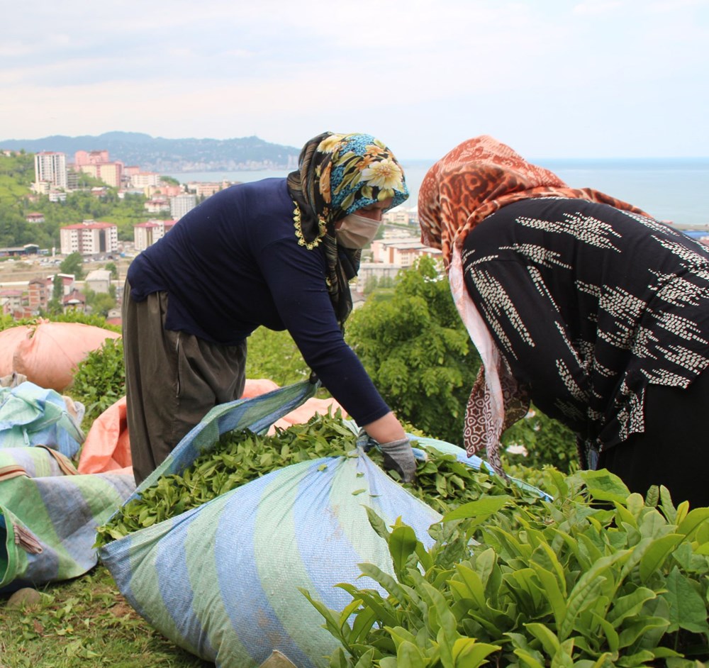 Çay göçü ile Rize'ye giden 30 bin kişiye validen uyarı - 4