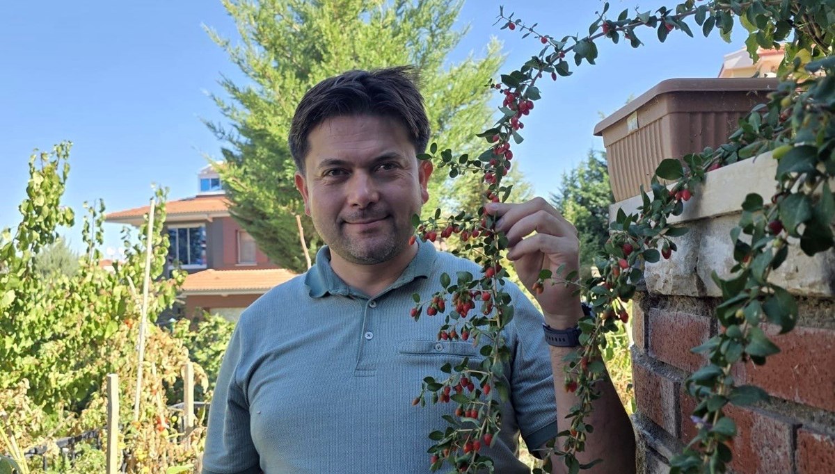 Doktor evinin bahçesinde yetiştirdi: 30 farklı ağaç ve 30'un üzerinde bitki