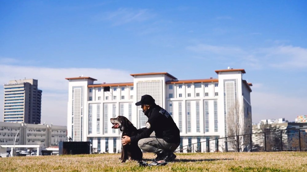 Ankara Emniyeti'nin Efsane Narkotik Dedektörü Toma, Görevine Veda Ediyor! 73 9aUylbMOAkaYlO6d UWIKw