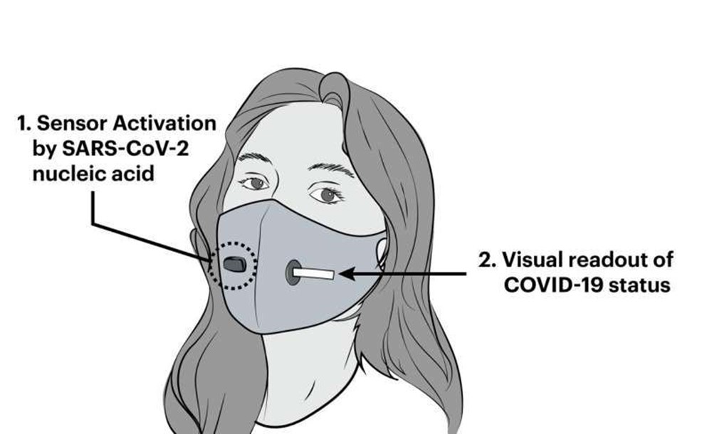 Harvard Üniversitesi ve MIT’den bilim insanları, Covid-19’u tespit edebilen maske geliştirdi - 6