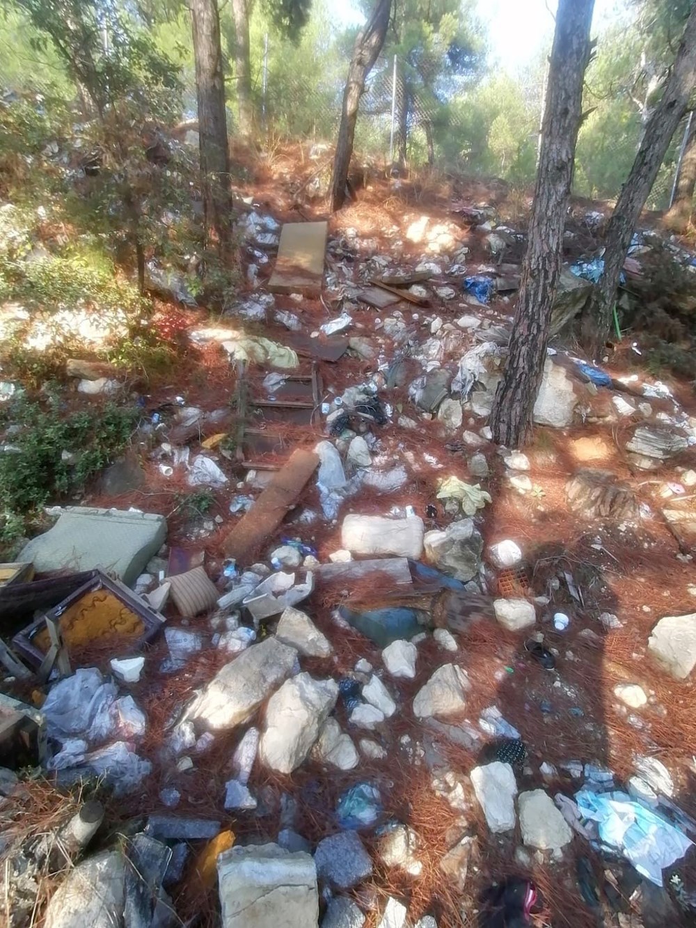 Bursa'da yeni çevre katliamı - 5