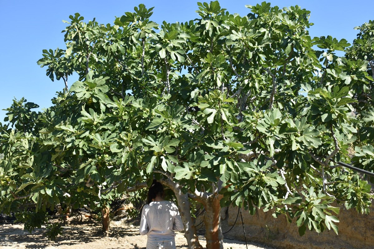 9bxDfIWf-E2MW8H9SuKAJA.jpg