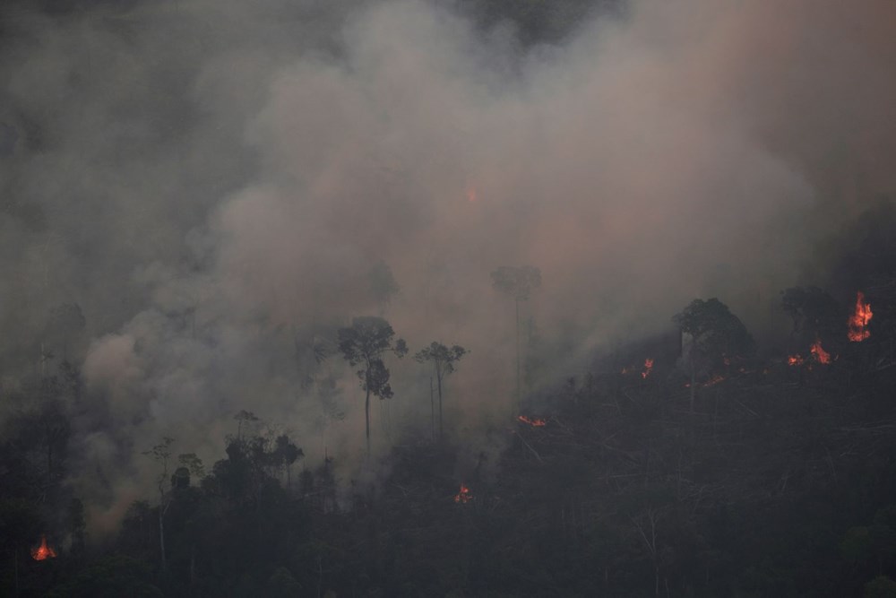 Amazon ormanlarında 14 yıl sonra en büyük kayıp: Haziran ayında rekor alan kül oldu - 10