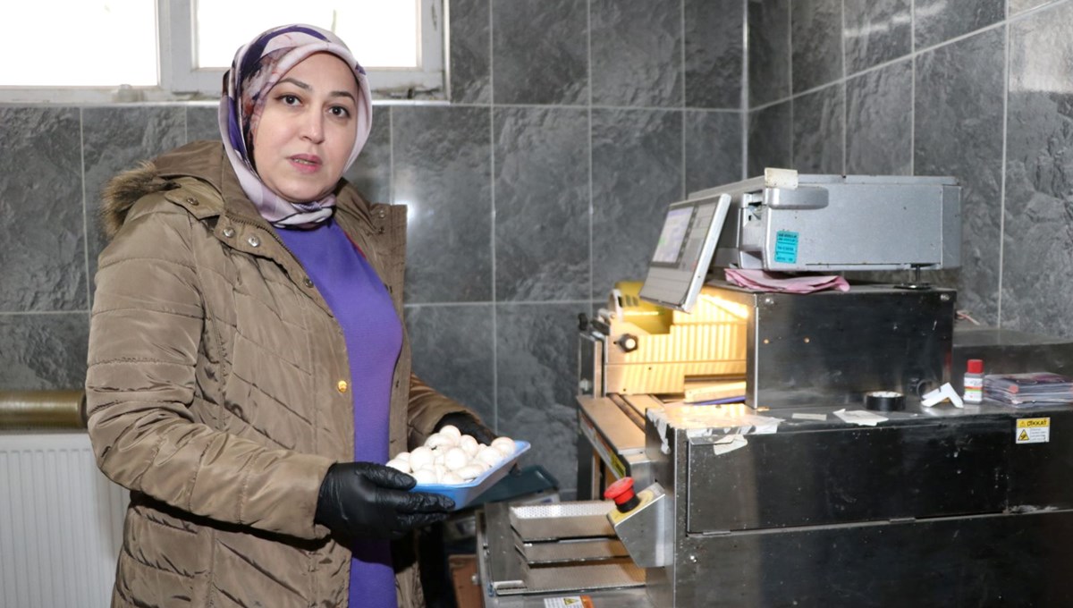 Devlet desteğiyle kurdu: 45 günde 70 ton üretiyor