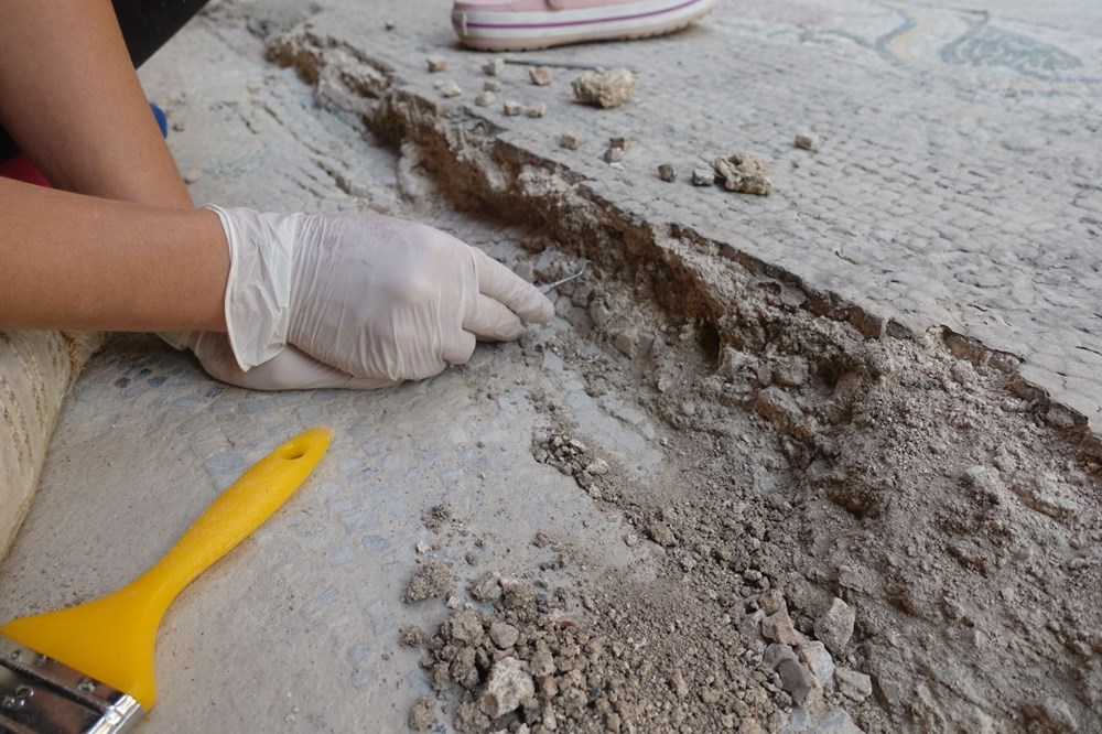 Balatlar Kazısı’nda, Zeugma'dakilere benzer mozaikler bulundu - 21