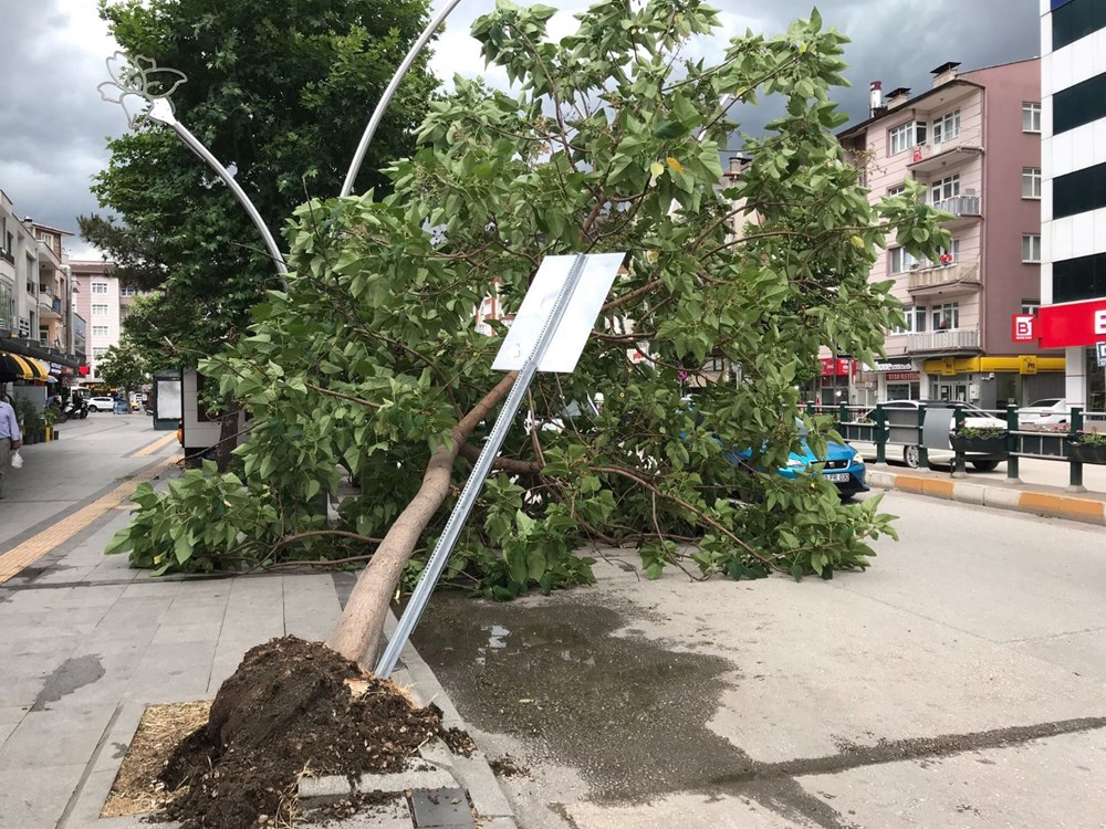 Tokat'ta şiddetli rüzgar: Çatılar uçtu, ağaçlar devrildi - 2