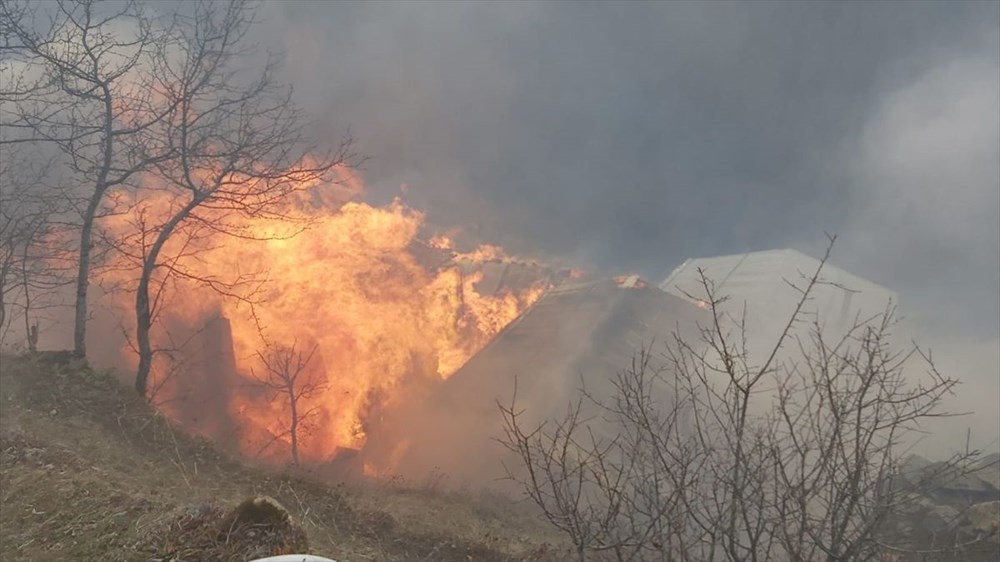 Rize'de Gölyayla köyünde çıkan yangına müdahale ediliyor - 1