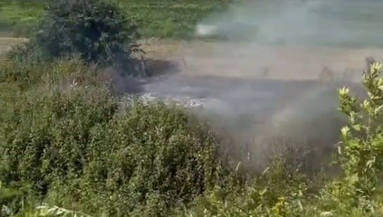 Sakarya'da otluk yangını