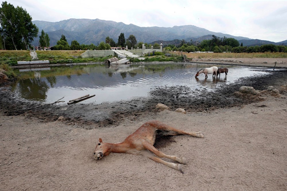 Şili'de yağışlar üçte bir seviyesine düştü, kuraklık kırıp geçiriyor - 5