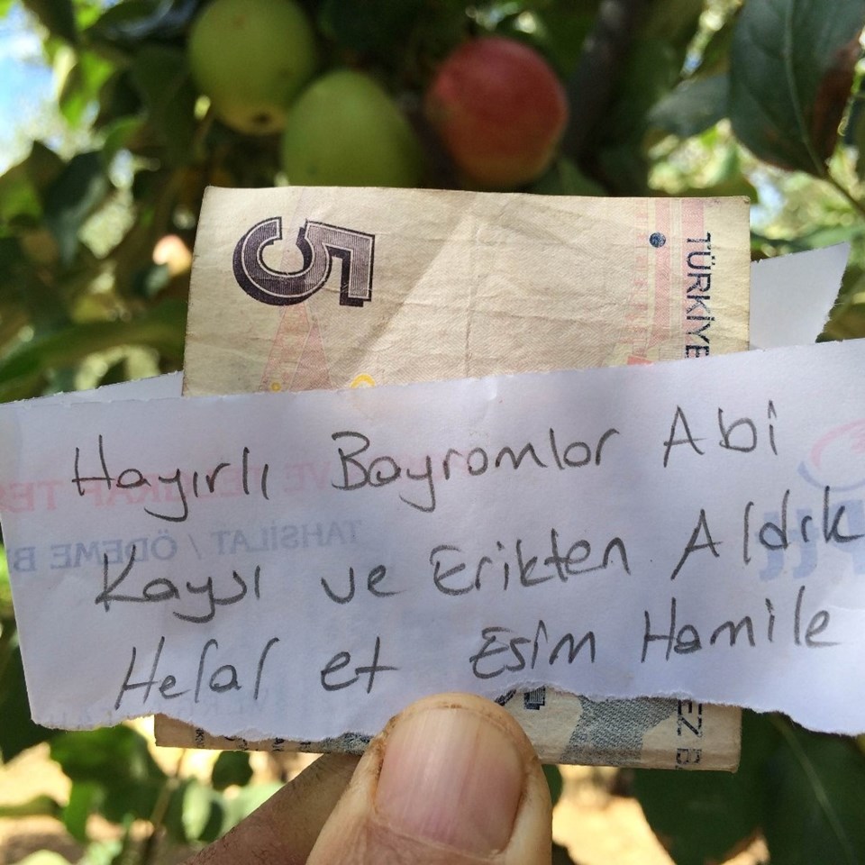 Ağaçtan aldığı meyve için not ve para bıraktı - 1