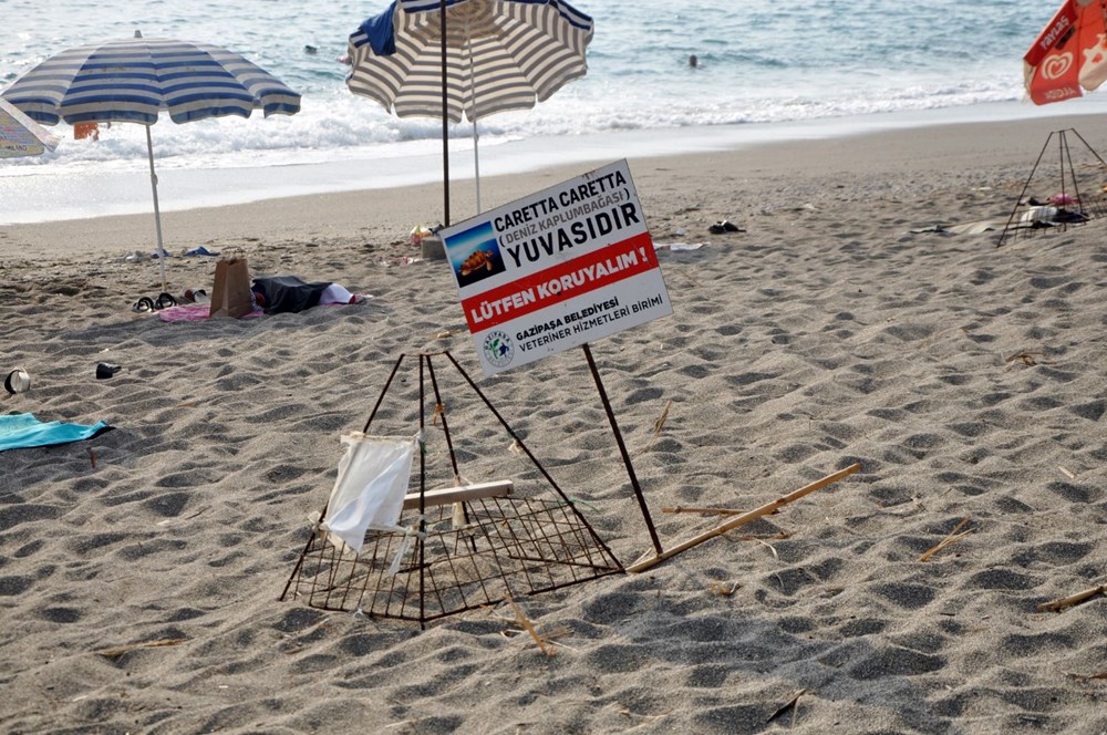 Caretta caretta yuvasının üzerinde mangal yaktılar - 2