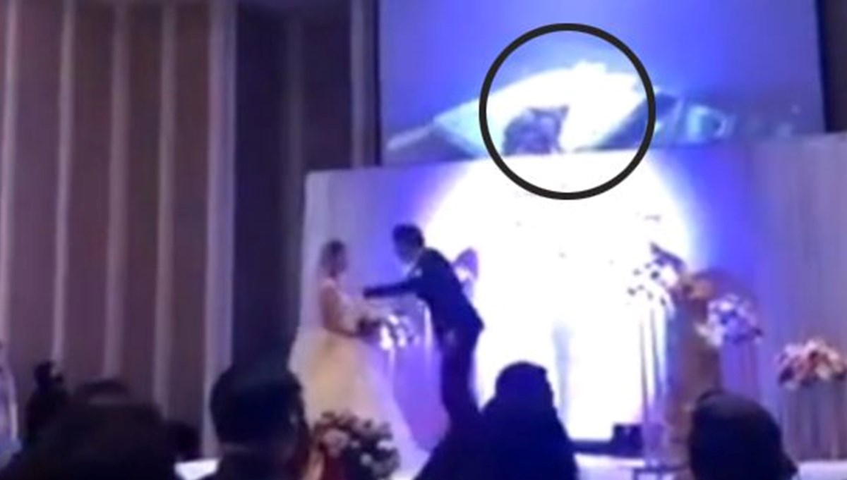 Damat, eniştesiyle birlikte olan gelini düğünde ifşa etti