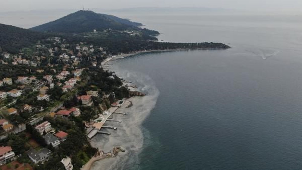 Büyükada'yı 'salya' sardı - 8