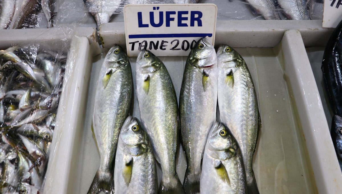 Lüfer bolluğu fiyatları düşürdü Lüfer bolluğu fiyatları düşürdü