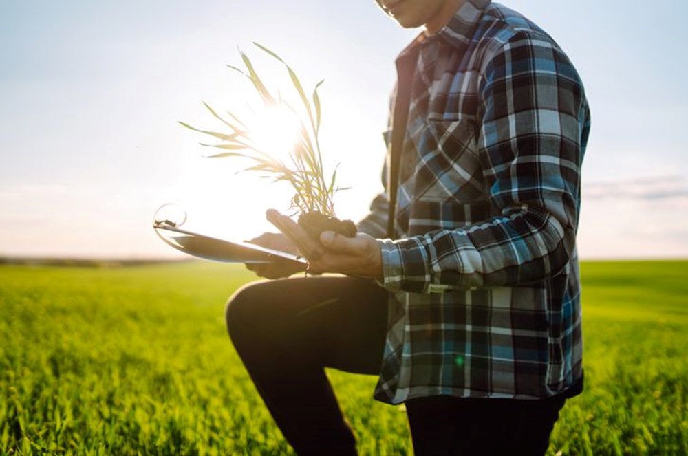 D�nyada "Ye�il G��" olarak biliniyor!