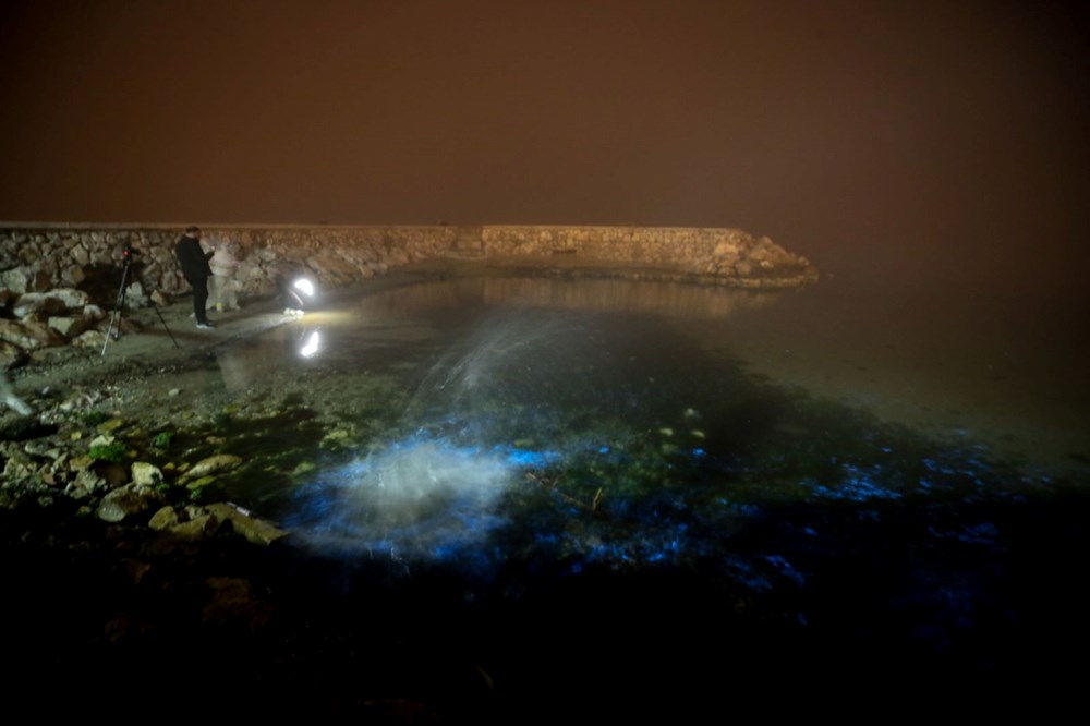 Bursa kıyılarında plankton patlaması: Deniz suyu renk değiştirdi - 10