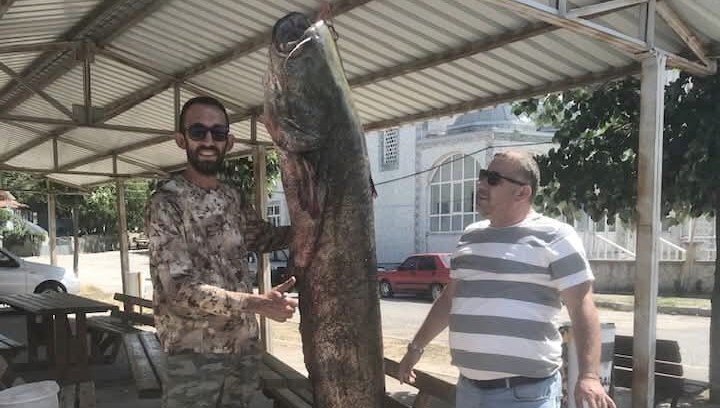 80 kilo ağırlığında yayın balığı yakalandı