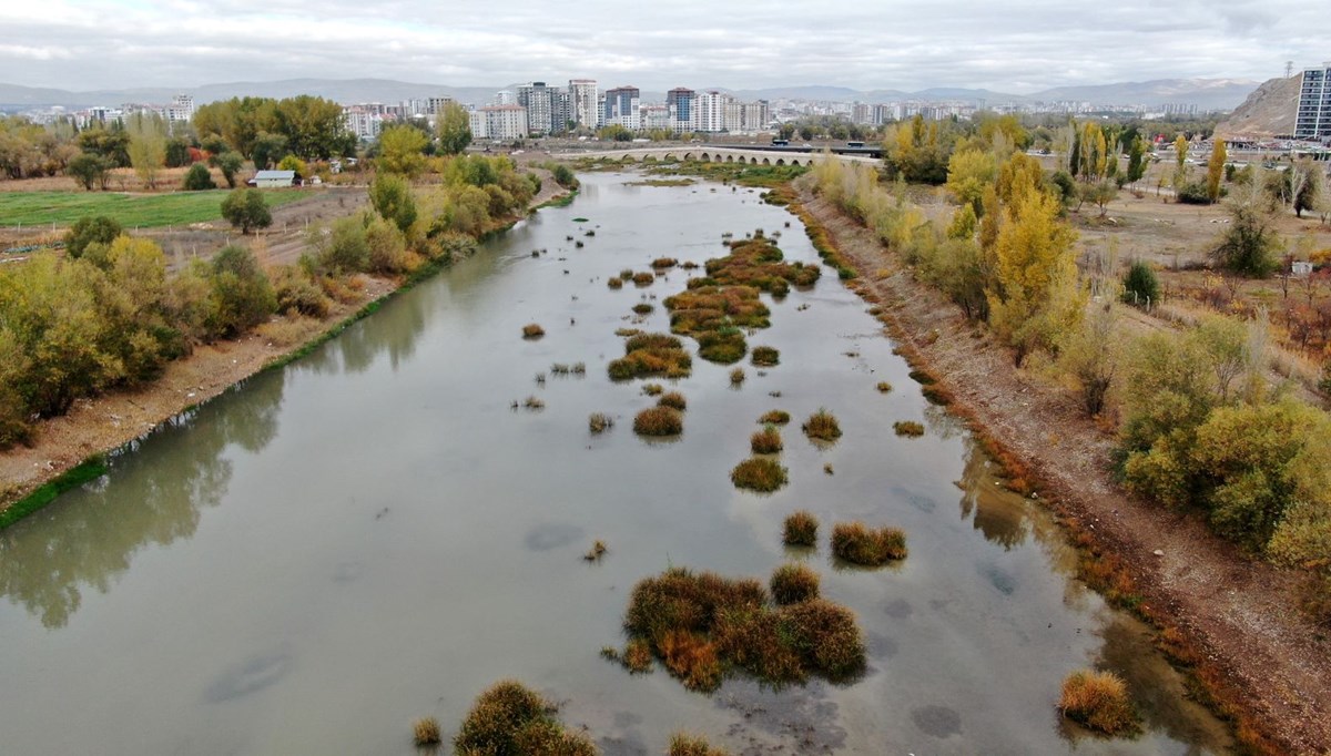 Kızılırmak otlağa dönüştü