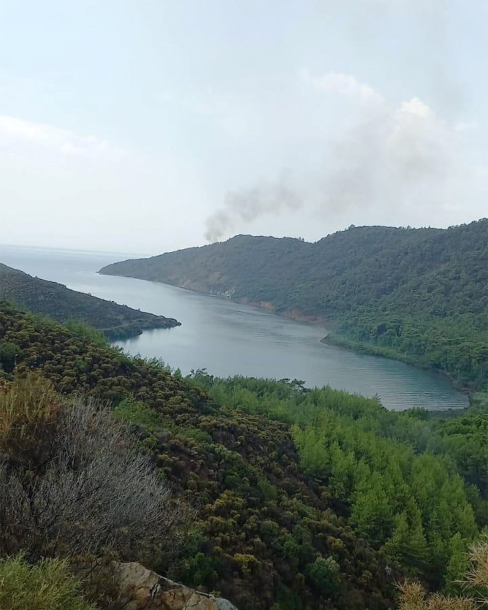 Marmaris'te orman yangını - 4