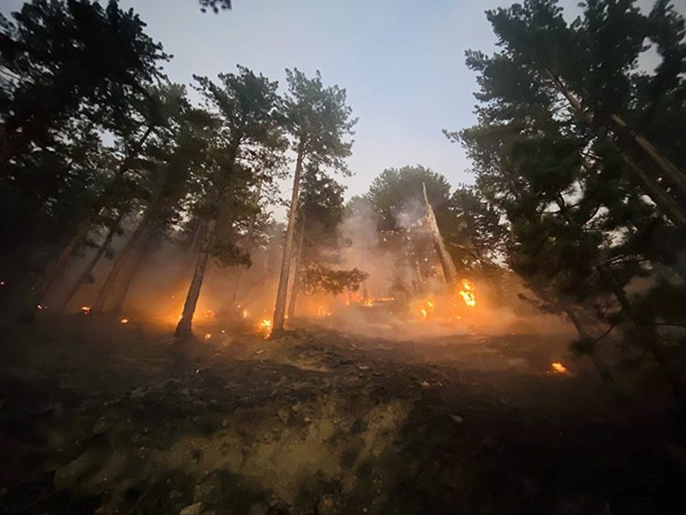 Orman yangınları son durum 2025: Bursa, Karabük, Uşak, Kahramanmaraş, Bingöl, Antalya yangınları söndürüldü mü? - 3
