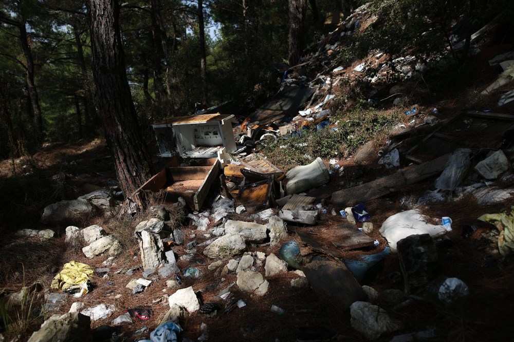 Bursa'da yeni çevre katliamı - 8