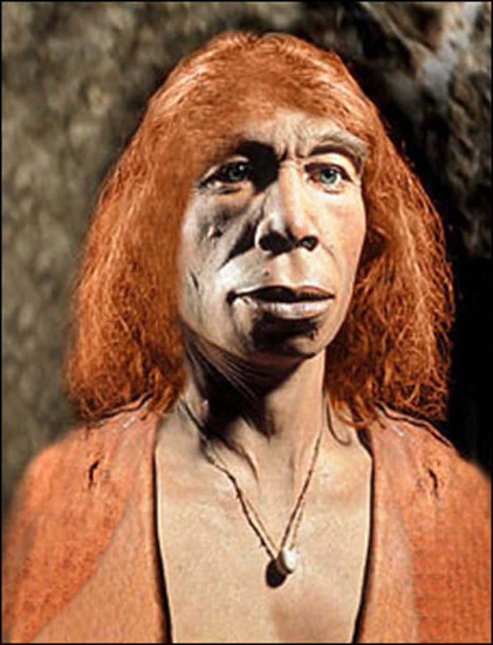 Hepimiz (biraz) Neandertaliz - 2