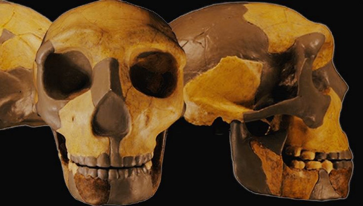 300 bin yıllık insan kalıntıları bulundu! Görülmemiş eski insan türü mü?