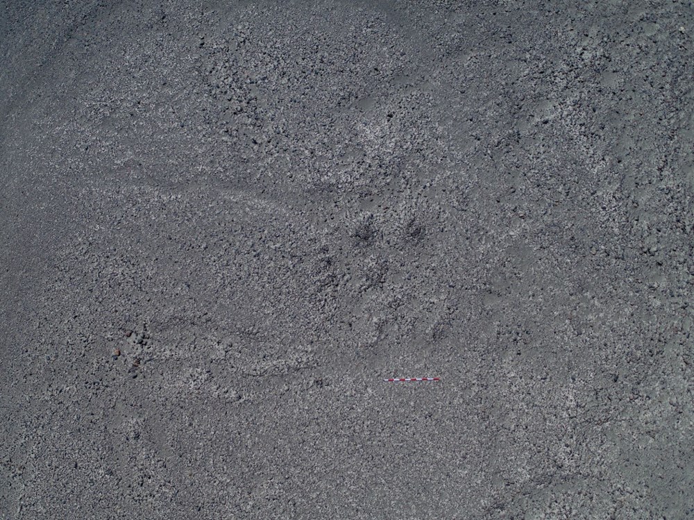 Peru'da 100'den fazla yeni Nazca jeoglifi keşfedildi - 9