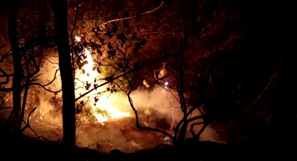 Akdeniz alev aldı: Yunanistan ve İtalya’da orman yangınları sürüyor - 30