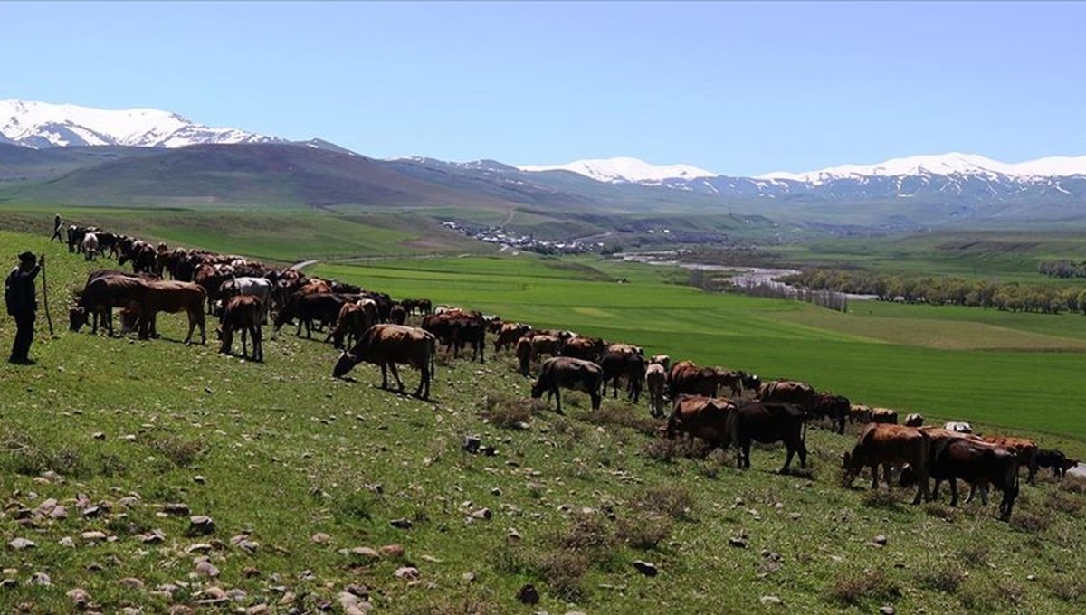 Tarım Kredi, Kurban Bayramı öncesi yeni kredi kampanyası başlattı