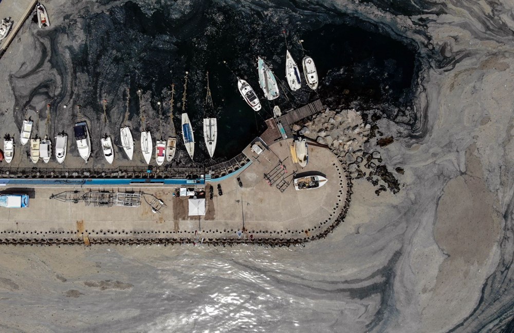 İstanbul'da deniz salyası istilası devam ediyor - 1