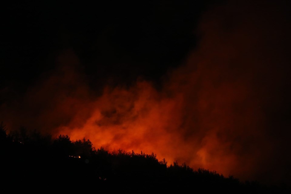 Adana'da orman yangını kontrol altında - 1