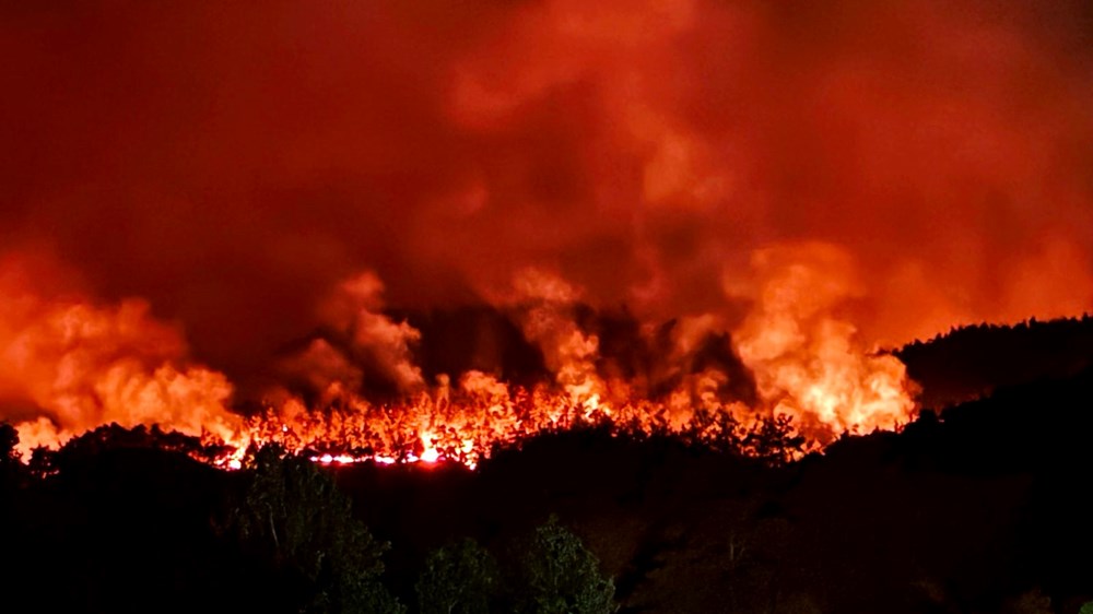 Yedi şehirde orman yangını: Sakarya'daki yangın büyüdü, Bilecik'e sıçradı - 5