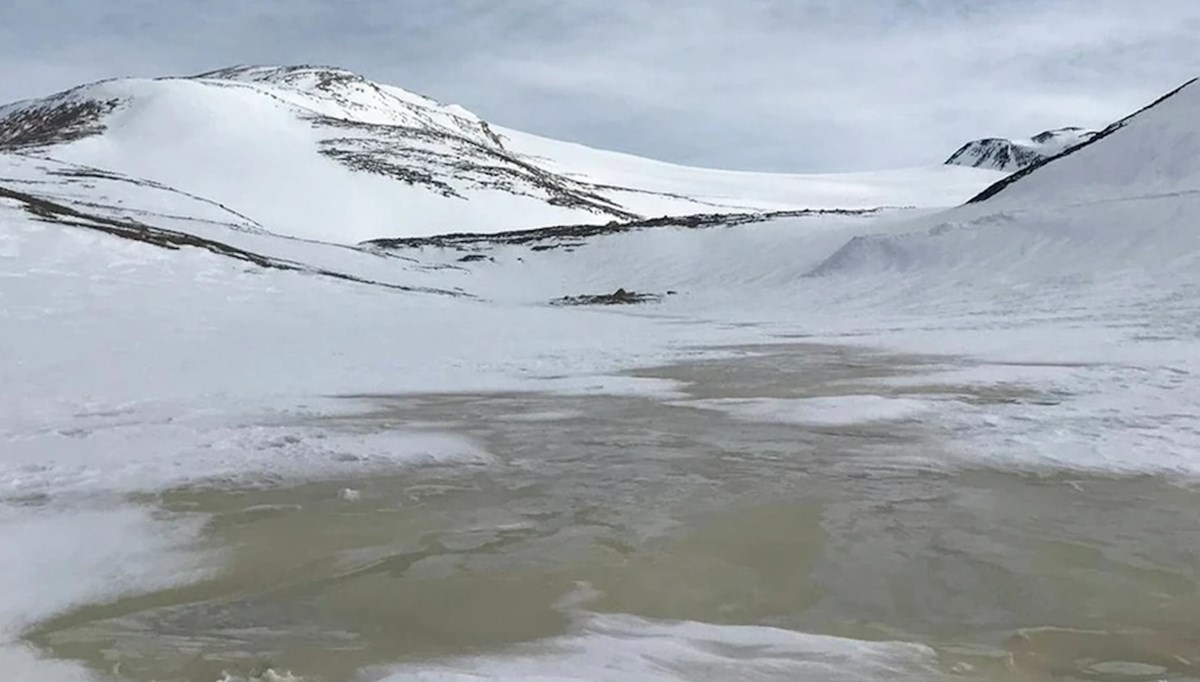 Yaşam için elverişsiz olduğu düşünülüyordu: Buzun altındaki gizli hayat! Yaşam için elverişsiz olduğu düşünülüyordu: Buzun altındaki gizli hayat!