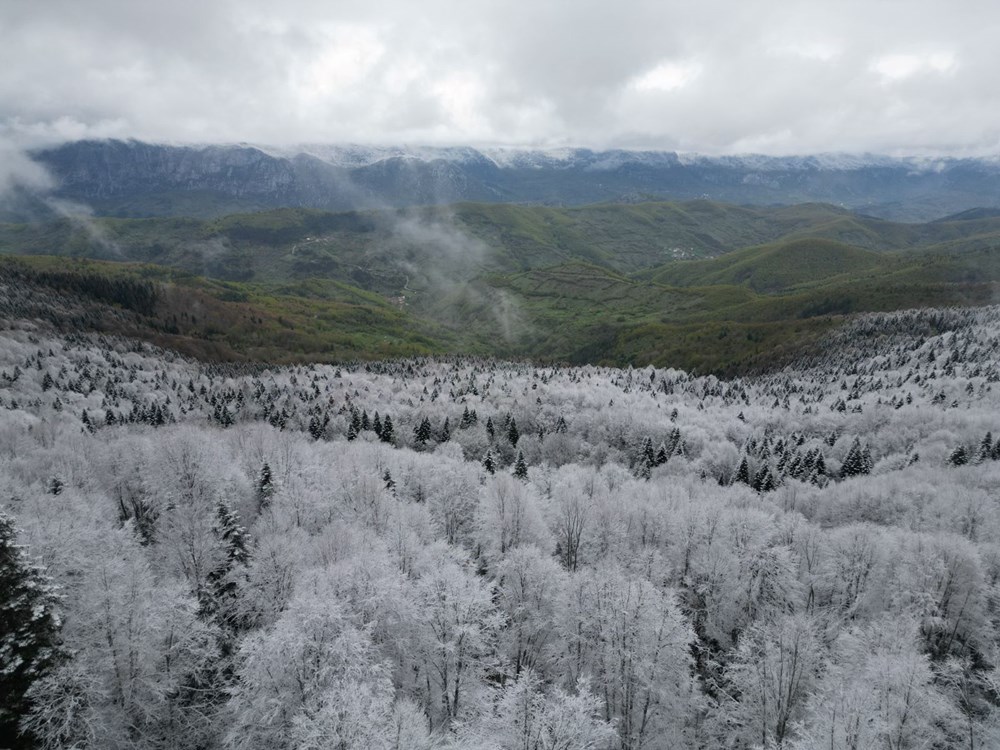 İki mevsim bir ortada: Nisan ayında kar yağdı 77